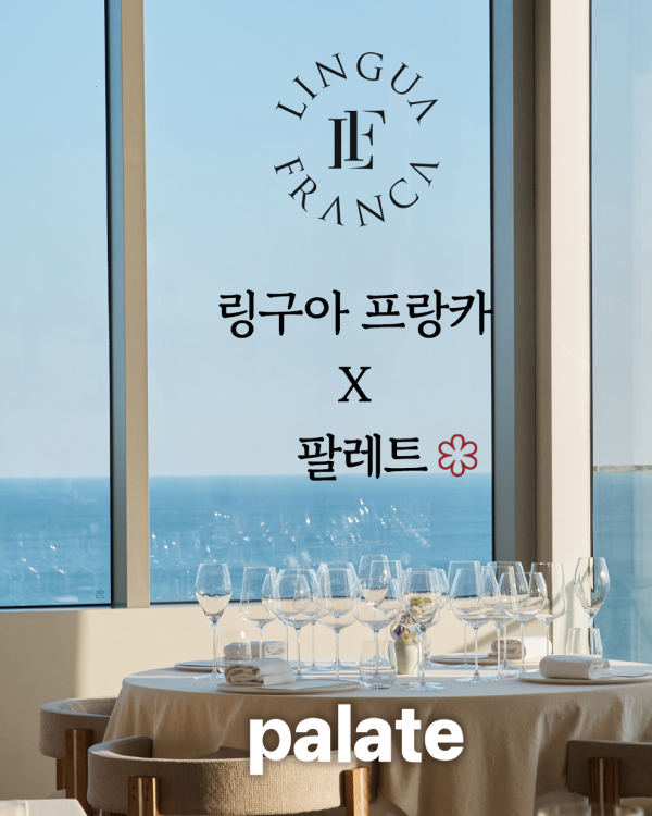 링구아 프랑카 X 팔레트