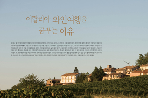 [Q매거진] 이탈리아 와인 추천 