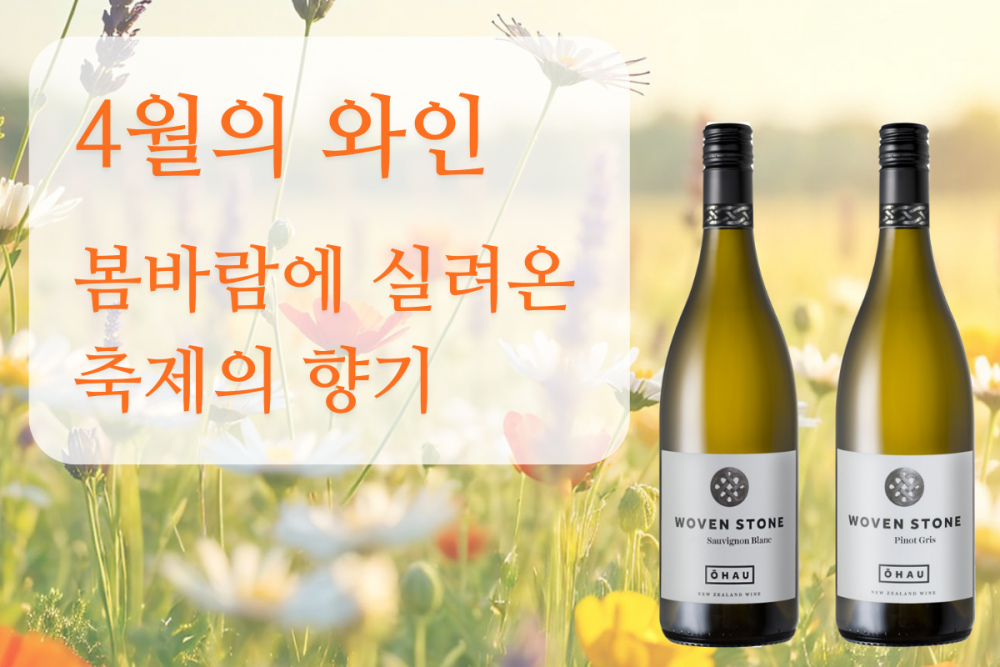 [와인리뷰 2025년 4월호] 4월의 와인, 봄바람에 실려온 축제의 향기