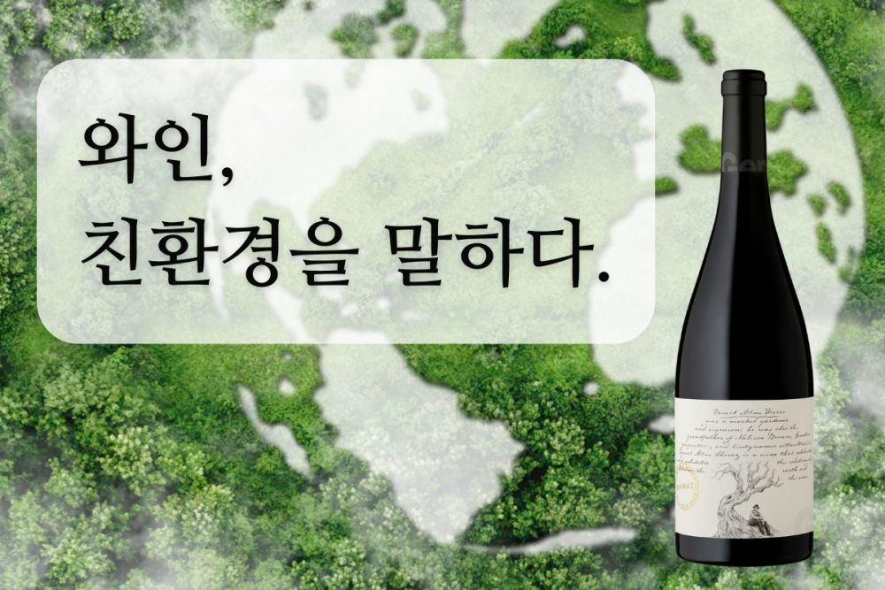 [와인리뷰 2025년 6월호] 와인, 친환경을 말하다.
