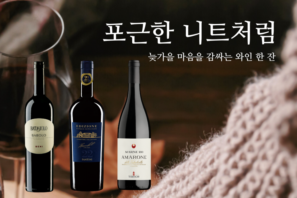 [와인리뷰 2025년 11월호] 포근한 니트처럼, 늦가을 마음을 감싸는 와인 한 잔
