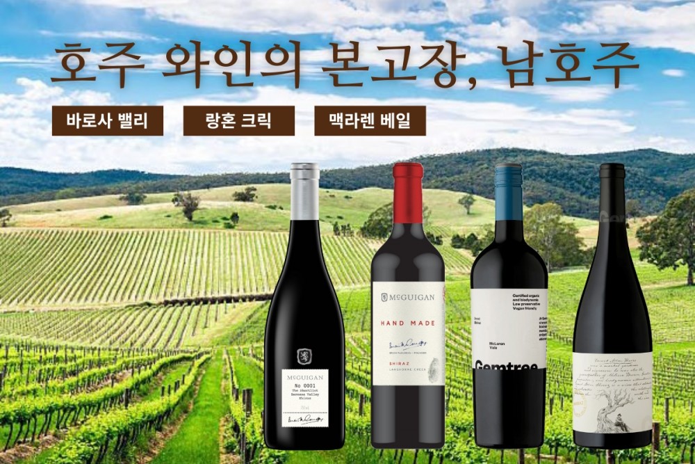 [와인리뷰 2025년 11월호] 호주 와인의 본고장, 남호주