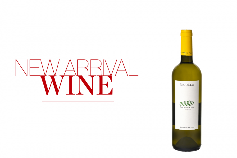 [와인리뷰 2025년 12월호] 와이넬 신규와인 - 포데르누오보 니꼴레오